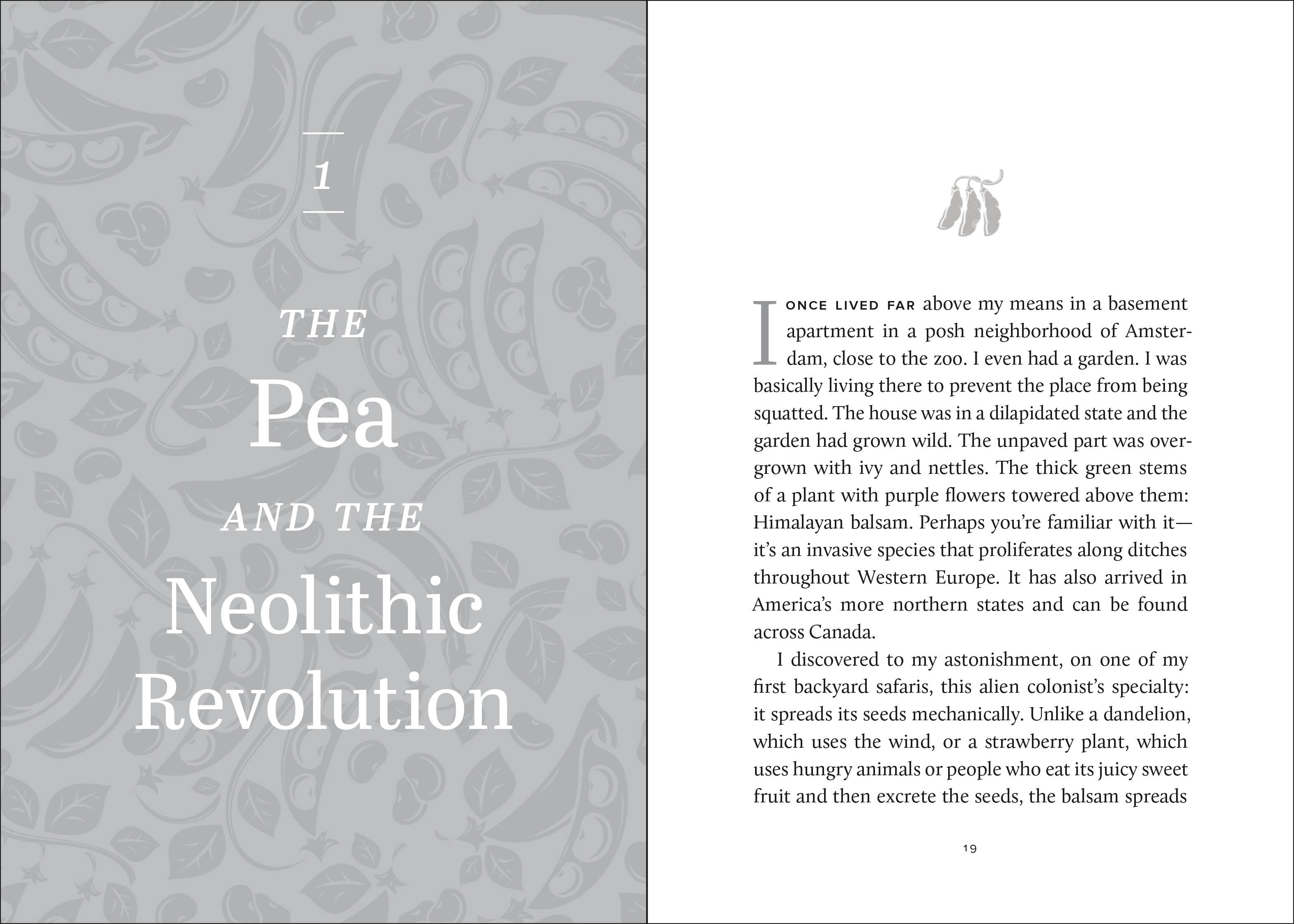 A History of the World in Twelve Beans