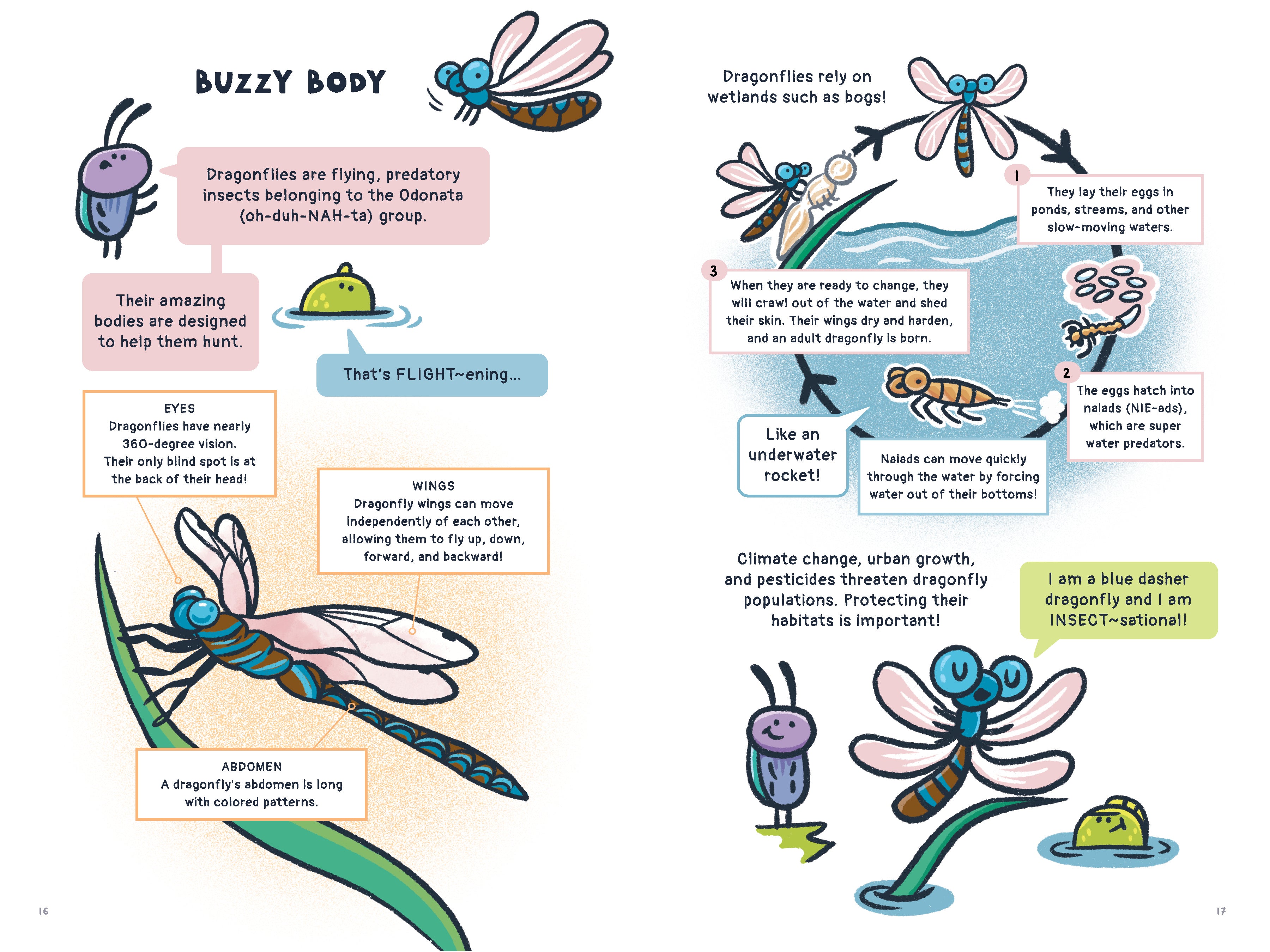 Beetle Bog