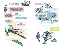 Beetle Bog