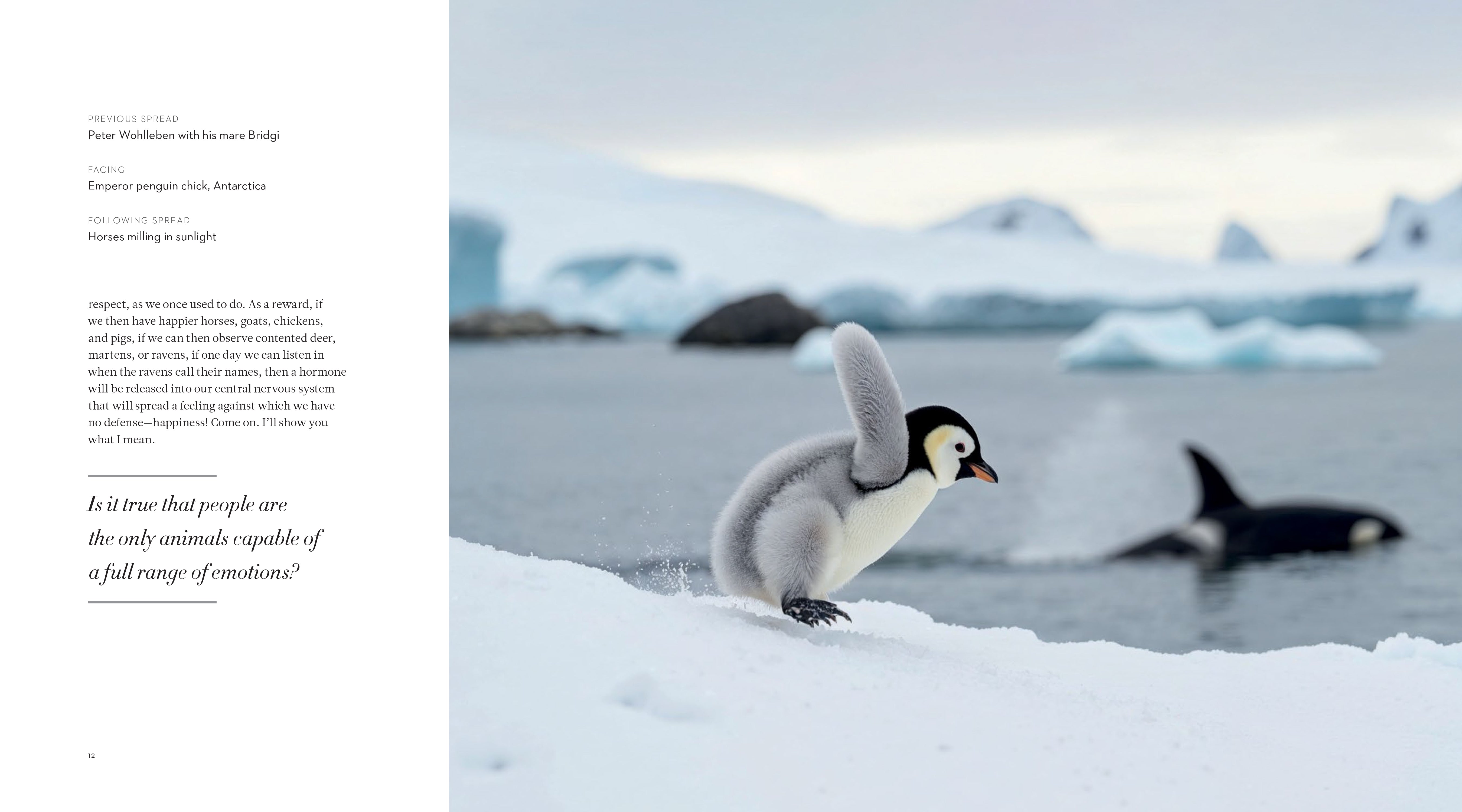 The Inner Life of Animals: The Illustrated Edition