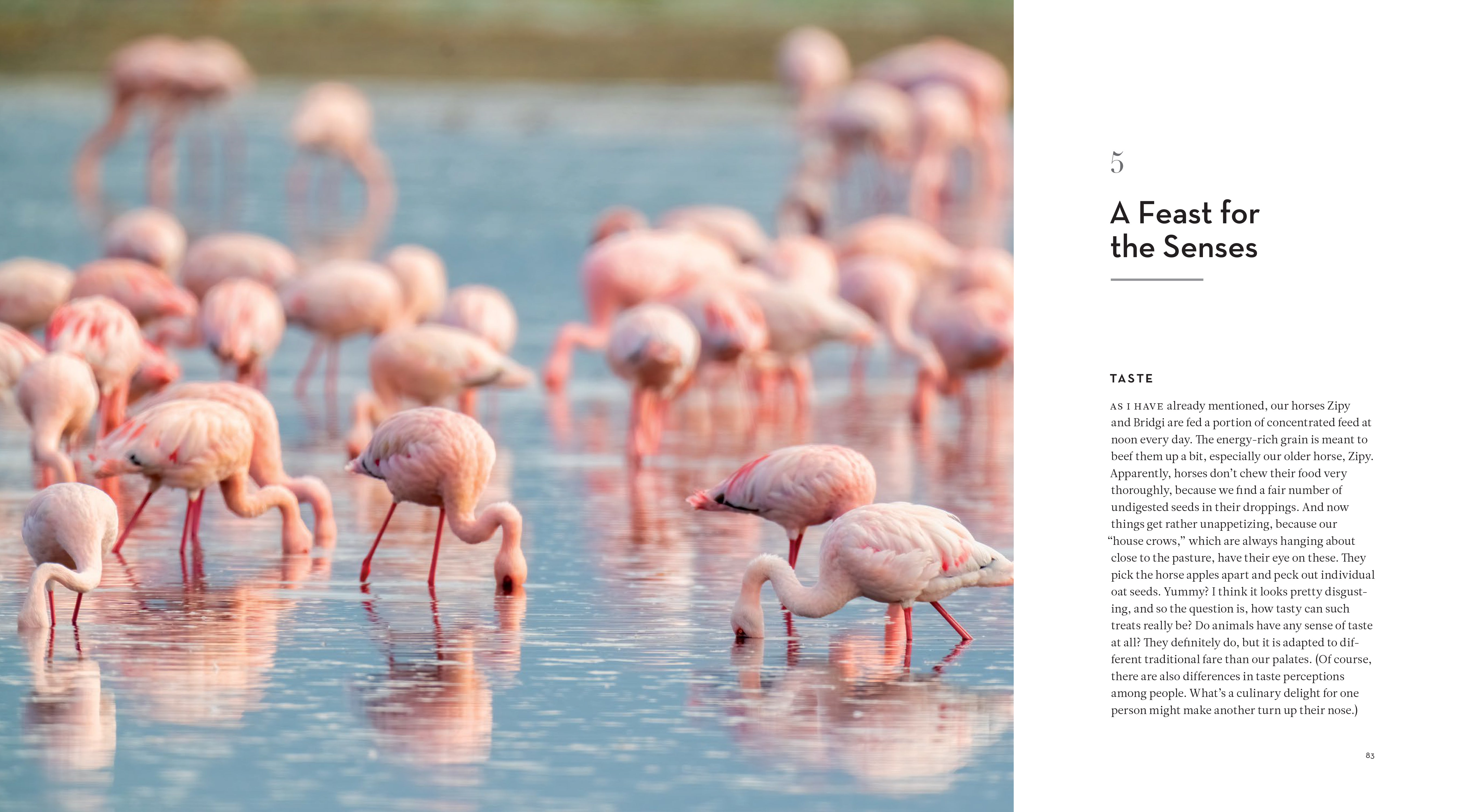 The Inner Life of Animals: The Illustrated Edition