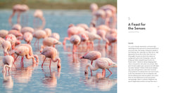 The Inner Life of Animals: The Illustrated Edition