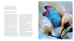 The Inner Life of Animals: The Illustrated Edition
