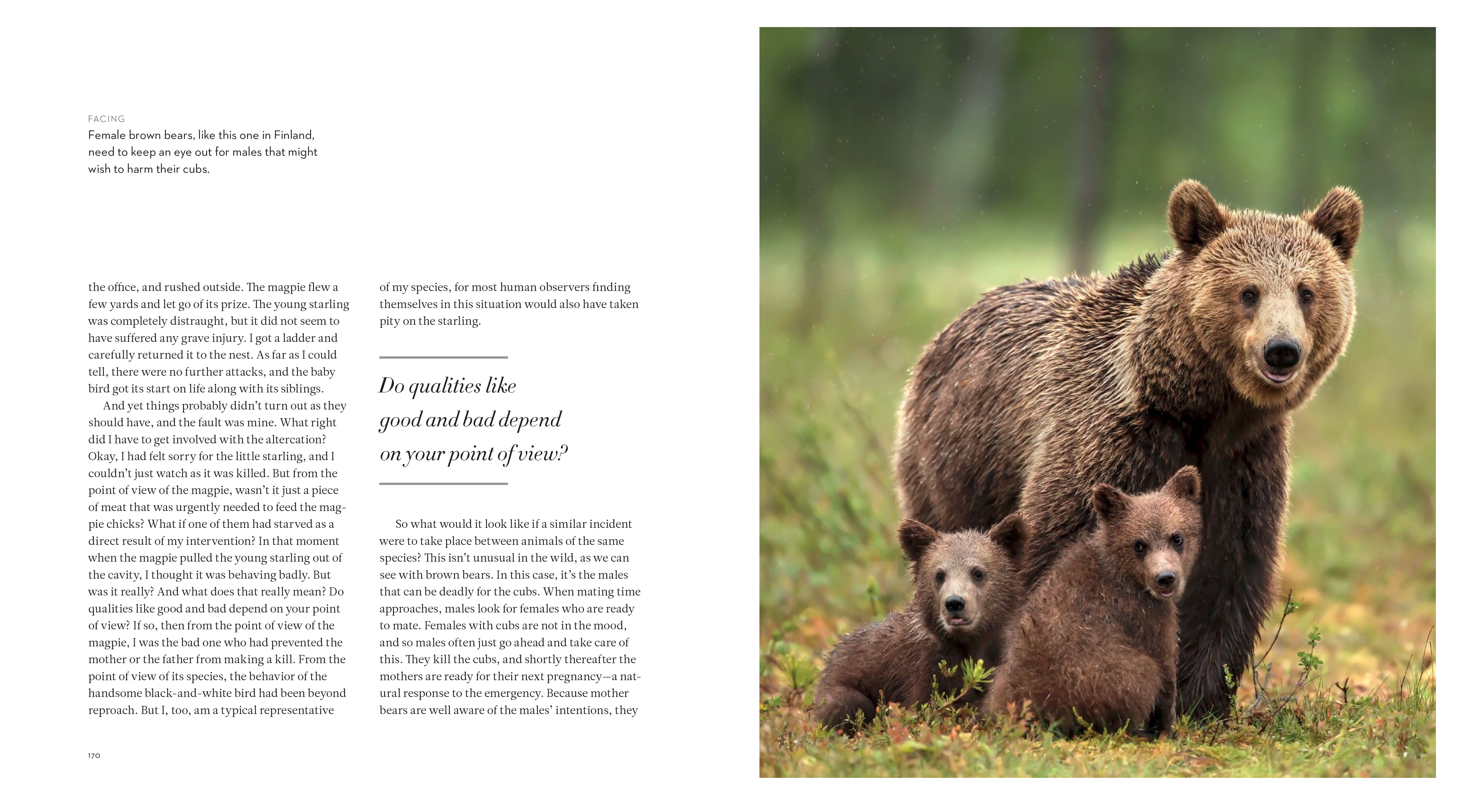 The Inner Life of Animals: The Illustrated Edition