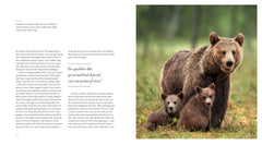 The Inner Life of Animals: The Illustrated Edition