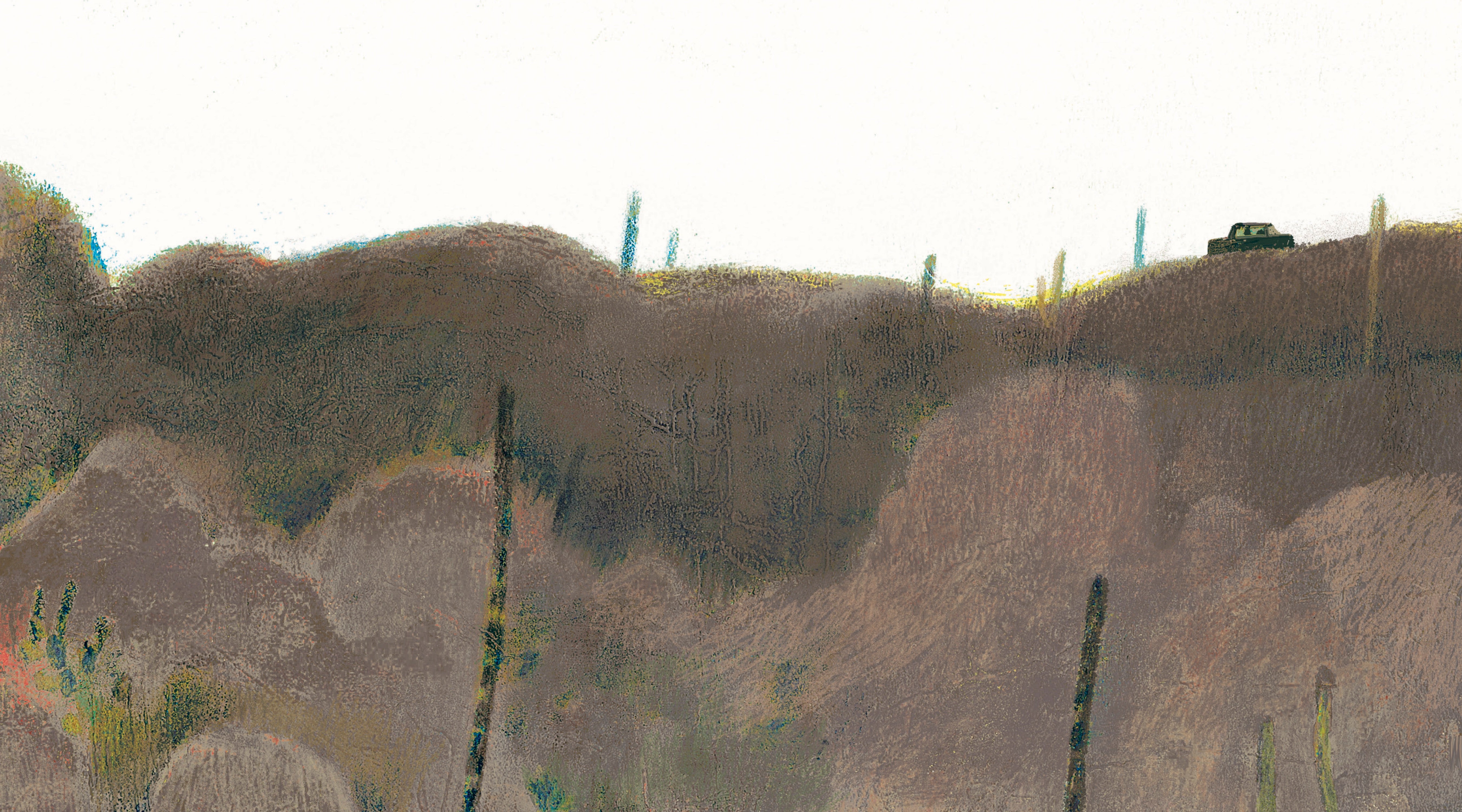Flores del desierto / Desert Flowers
