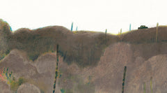 Flores del desierto / Desert Flowers