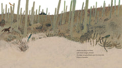 Flores del desierto / Desert Flowers