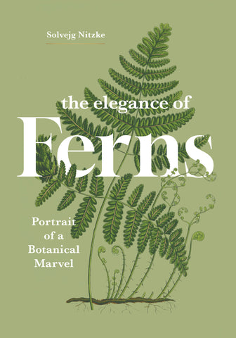 The Elegance of Ferns