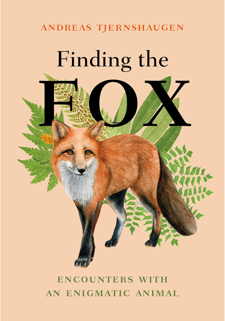 Amazing A--Z AlphaQuest Seek & Find Challenge Puzzle Book – Fox Chapel  Publishing Co.