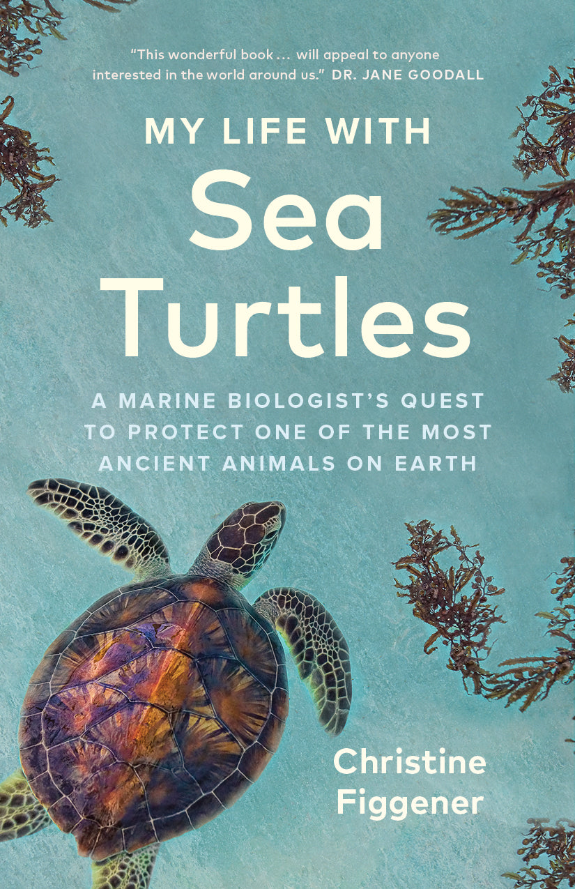 My Books – with Greystone Life Sea Turtles