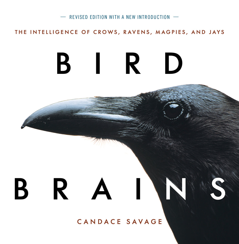 Bird Brains [Revised]