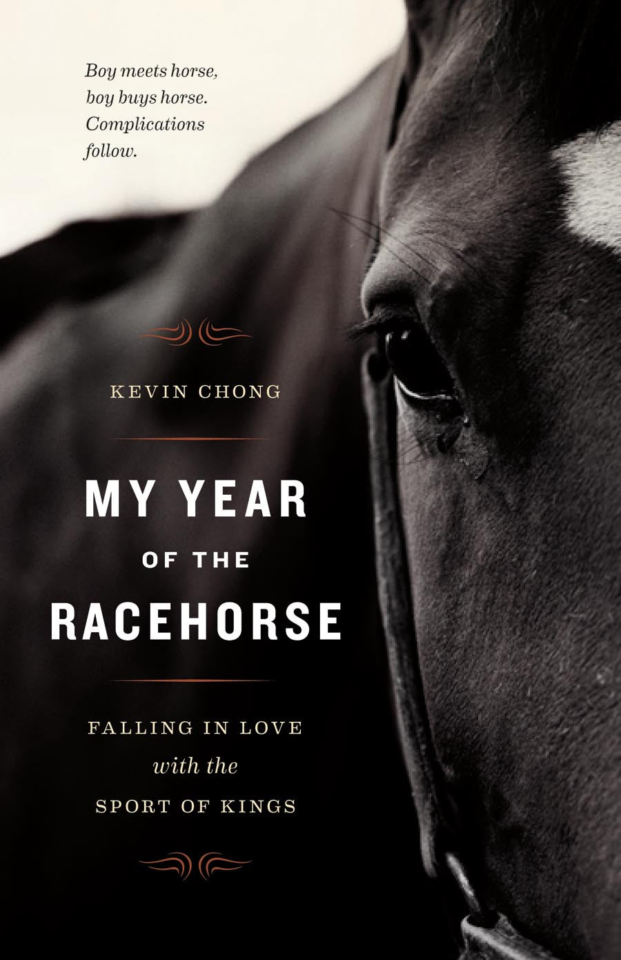 My Year of the Racehorse