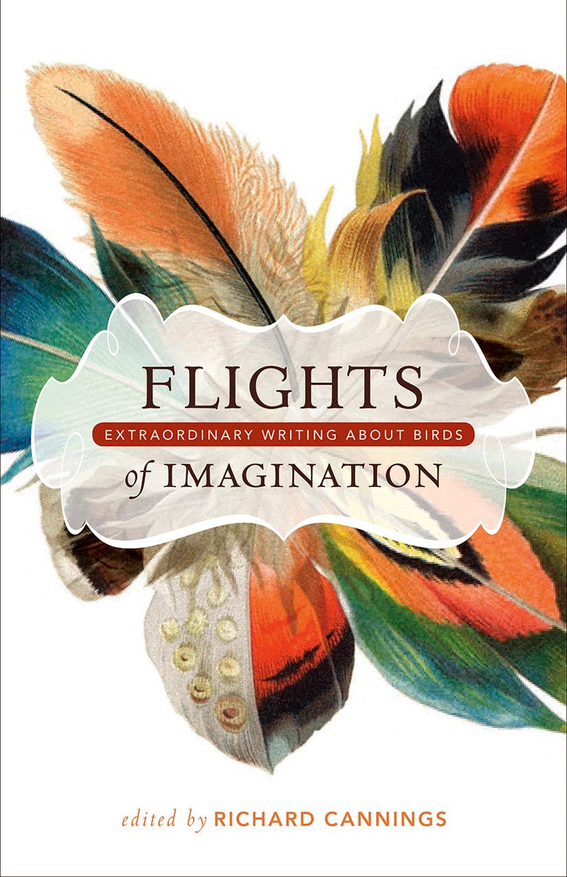 Flights of Imagination