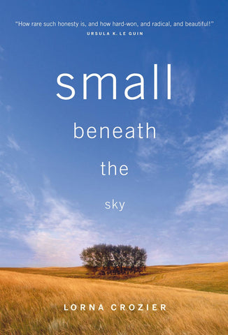 Small Beneath the Sky